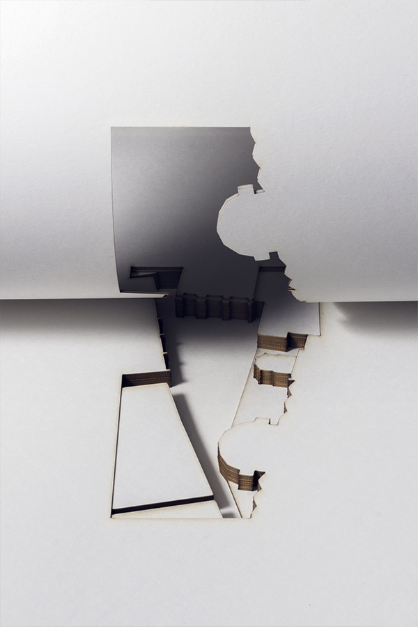 Design still life photography