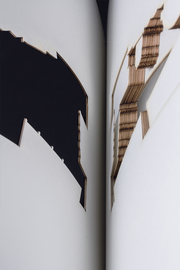 Design still life photography